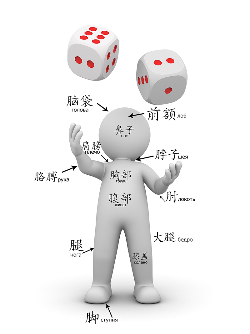 Части тела на китайском языке
