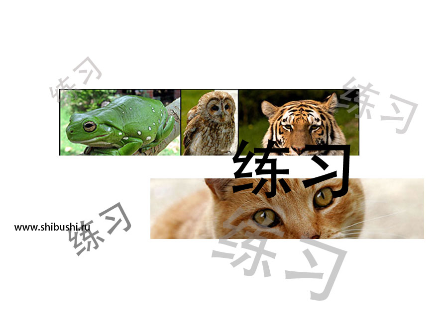 Упражнения на тему «Животные на китайском языке»
